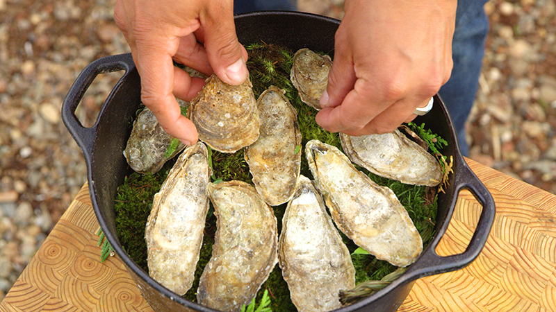 Food - Oysters